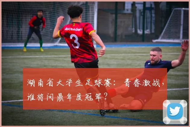 湖南省大学生足球赛：青春激战，谁将问鼎年度冠军？