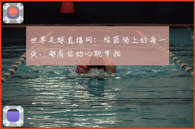 世界足球直播网：绿茵场上的每一夜，都有你的心跳节拍