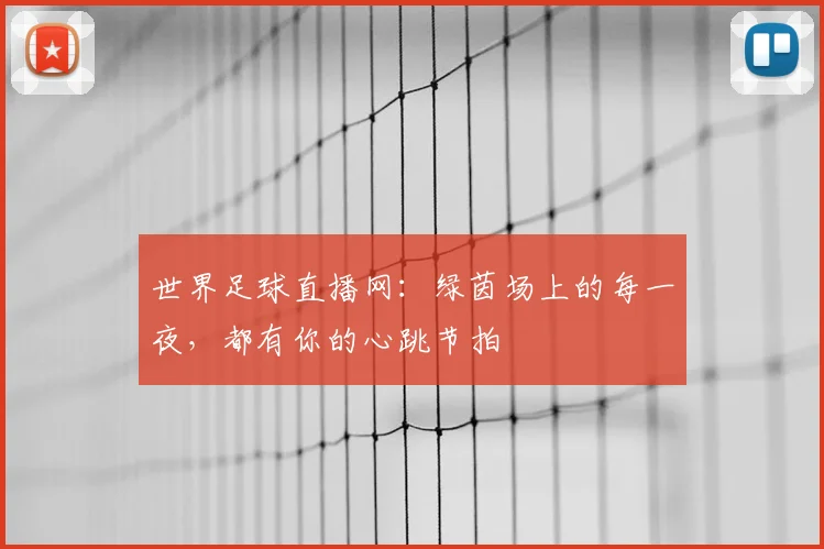 世界足球直播网：绿茵场上的每一夜，都有你的心跳节拍
