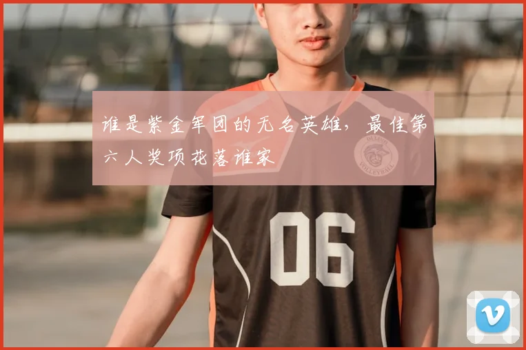 谁是紫金军团的无名英雄，最佳第六人奖项花落谁家