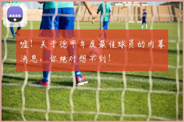 嘘！关于德甲年度最佳球员的内幕消息，你绝对想不到！