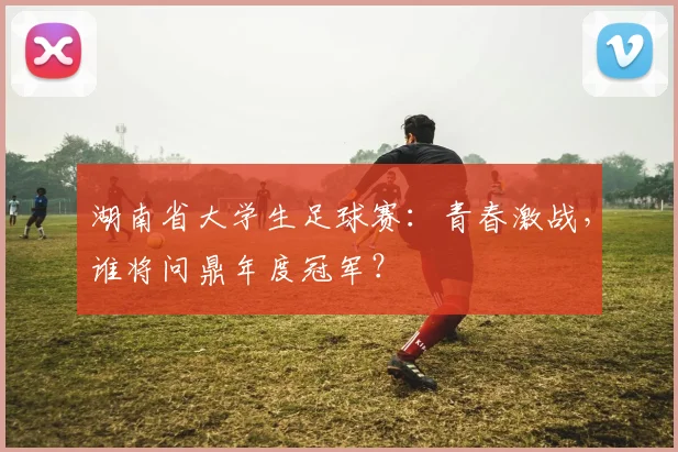 湖南省大学生足球赛：青春激战，谁将问鼎年度冠军？
